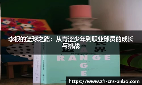 安博体育官方网站